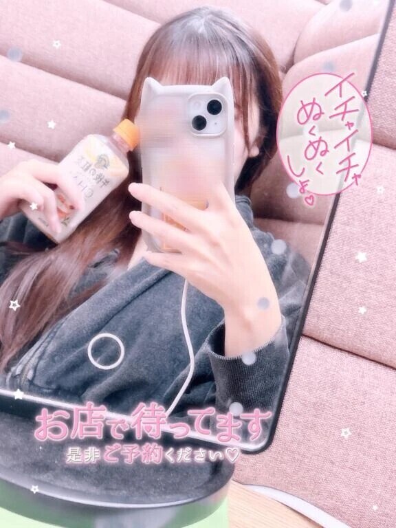 出勤しました😽