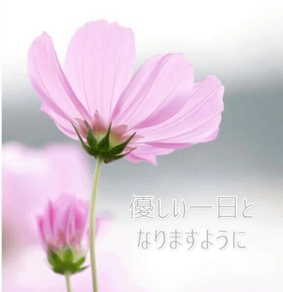 優しさに包まれて♡