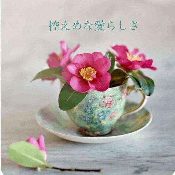 控えめな愛らしさ♡