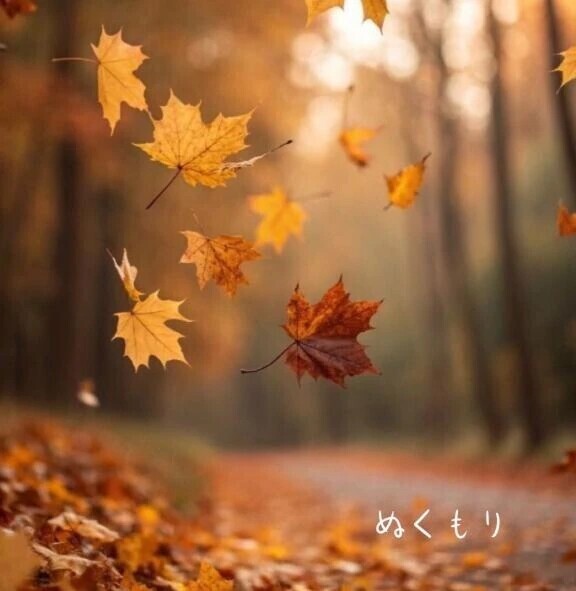 ぬくもり恋しい🍁