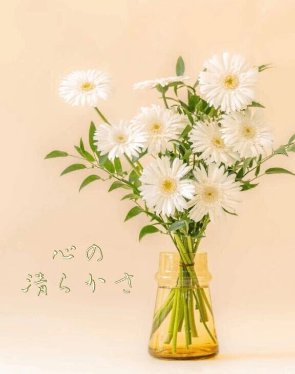 清らかな心♡