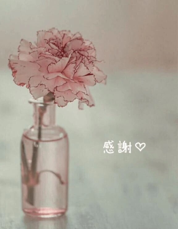 皆さまに感謝♡