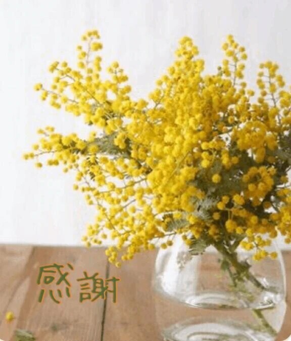 皆さまに感謝♡