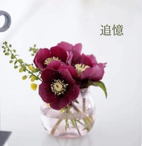 追憶のクリスマス🎄💗