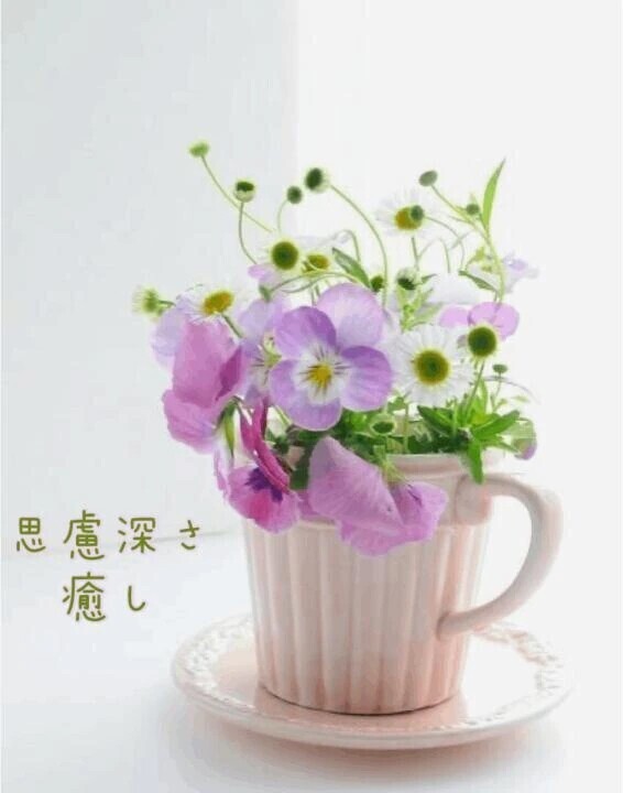 思慮深さと癒し♡