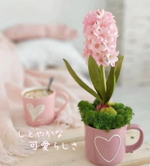 しとやかな可愛らしさ♡