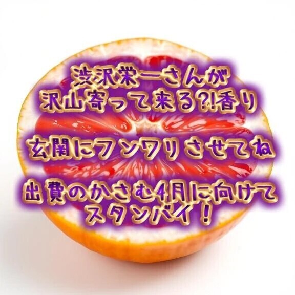 渋沢さんと仲良しさん