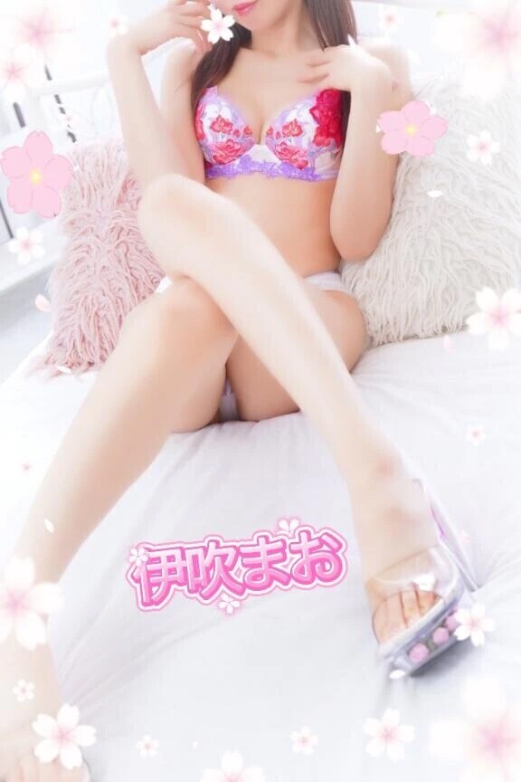 本日は✨