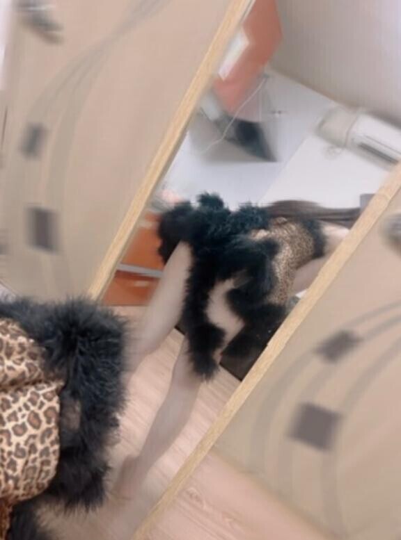 ?　なにしてる？‥?　???