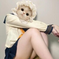 ひな