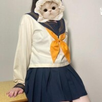 こんばんは