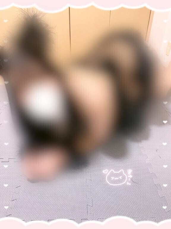 見てくれた??