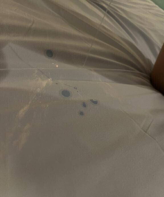 今日は朝まで??