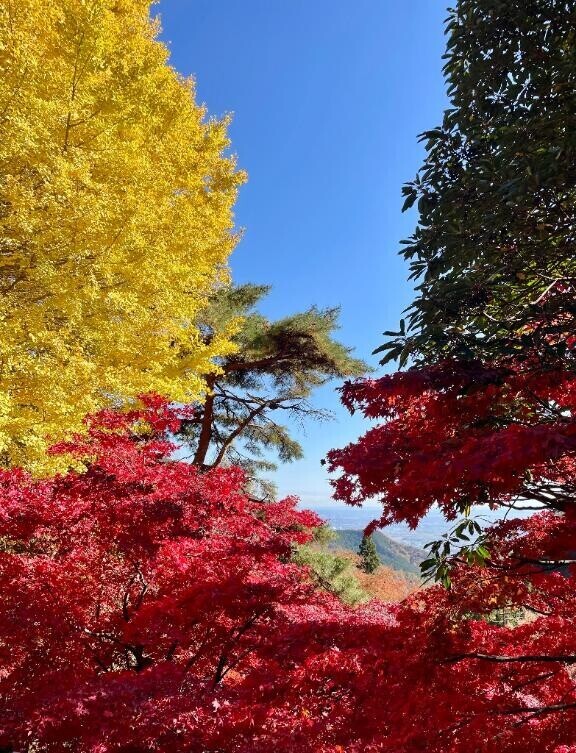 明日12/2出勤申請中?