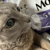ありがとうございました🙏