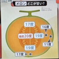 種食べないの？！