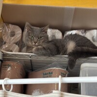 ありがとうございました♪