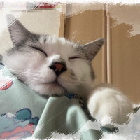 うつ伏せになると…