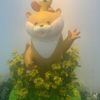 ひな