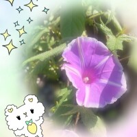 まこと