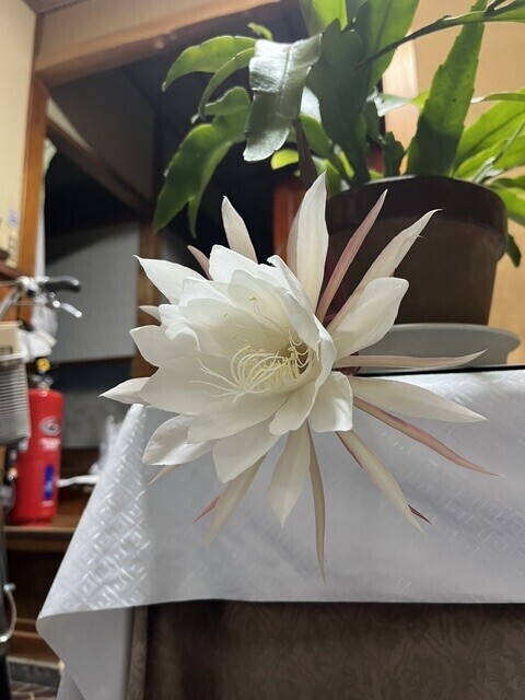 変更です😅