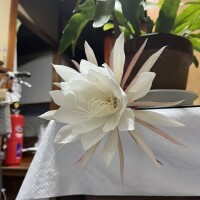 変更です😅