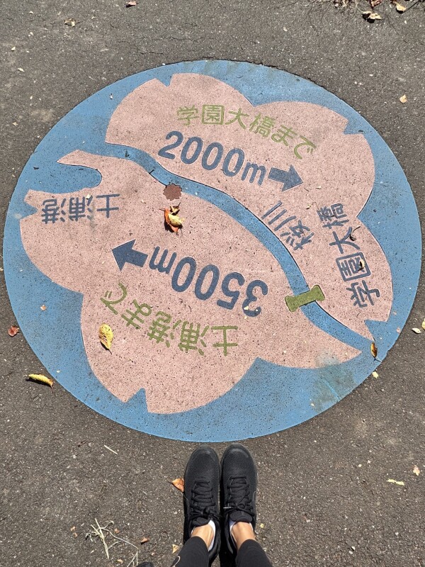 image2.jpeg