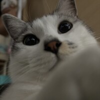 今日から4連勤です