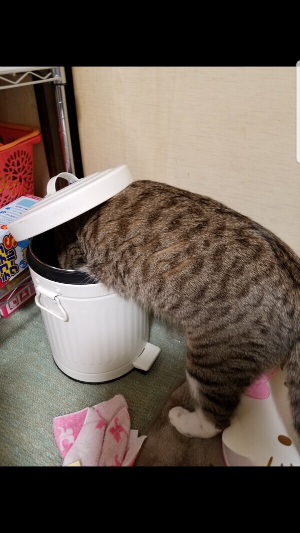 おはようございます☔