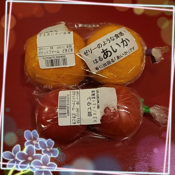 ご指名M様❤