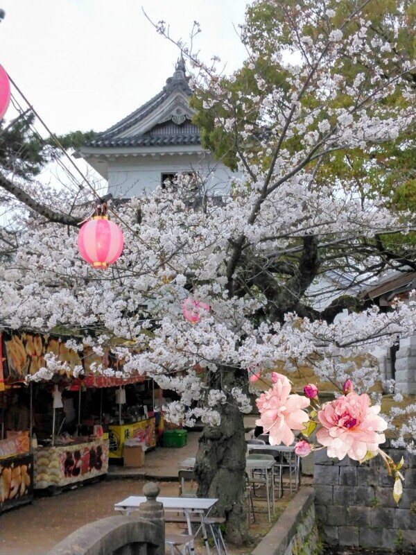 出勤しました☺️