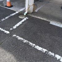 よしの
