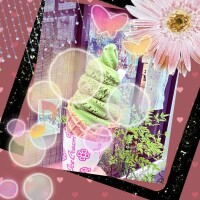 ❊ｵﾊﾖｳ❊｡* ( ´͈ ᵕ `͈ )