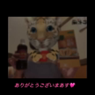 ※音無しですが！！！
