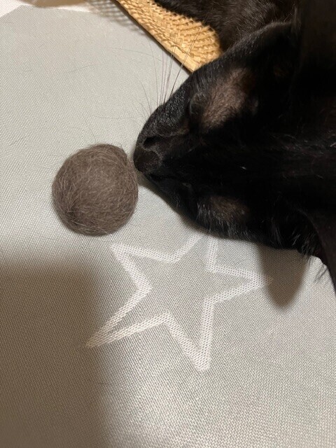 元気玉