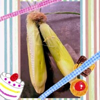 夏です🌽
