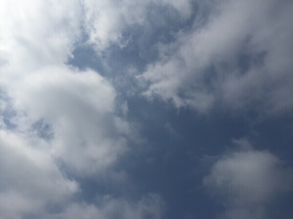 (⊃ωｰ`).｡oO