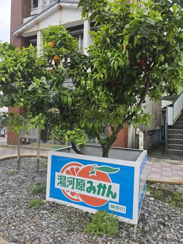 こんばんは🌛