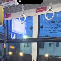 マイ