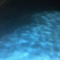 あかね