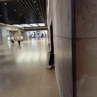 よしの
