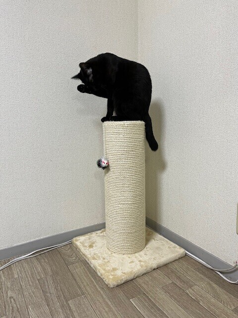 秋晴れ