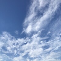 あかね
