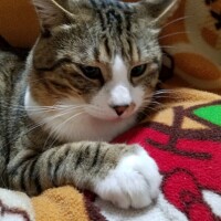 本日のお礼日記💌