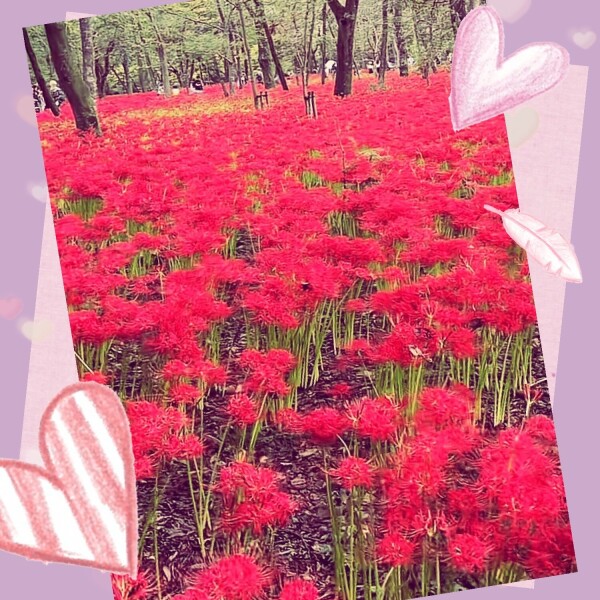 image0.jpeg