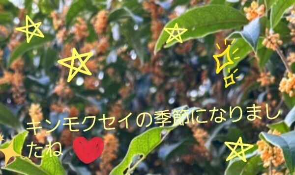 ちょっと語りますね😌