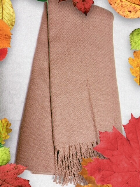 おはようございます😃