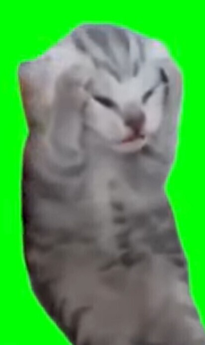 ごめんなさい😓😓😓😓😓