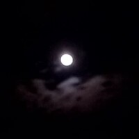 迷信ってやっぱり迷信なのかも🎀