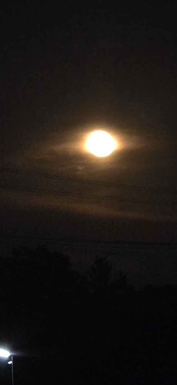 おはようございます✨